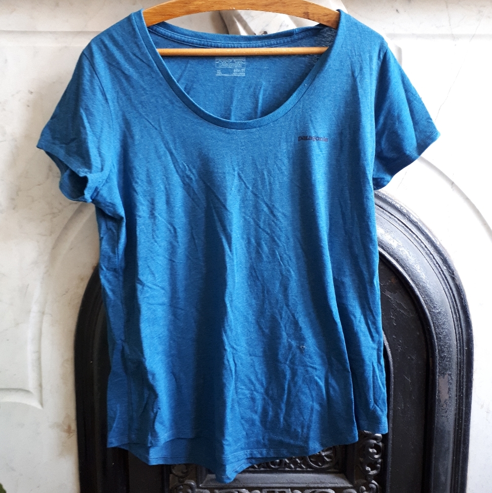 Patagonia tee